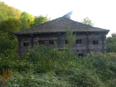 Şerefiye Köyü Cami-(Sinop Arkeoloji Müzesi Müdürlüğü Arşivi)