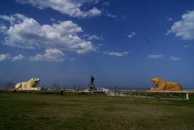 Anadolu Aslanı-Batıpark (Fotoğraf: Samsun İl Kültür ve Turizm Müdürlüğü arşivi)