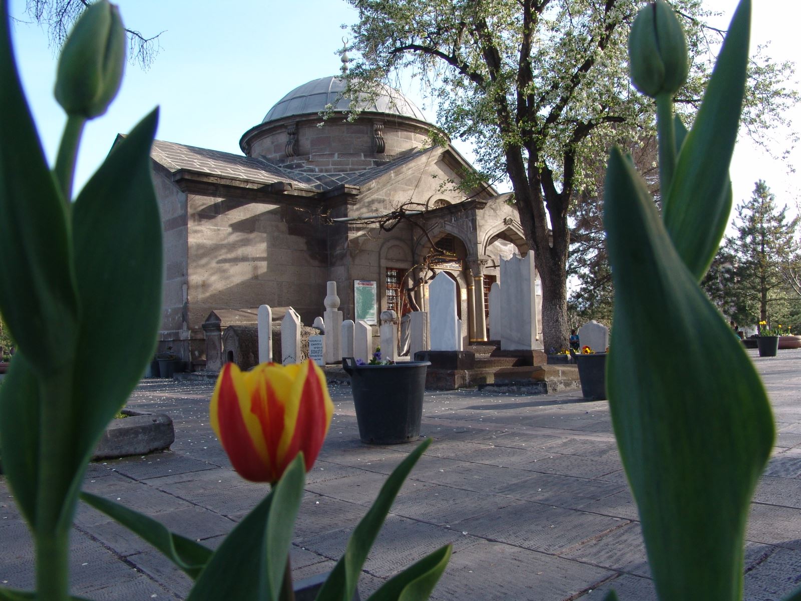 seyyid burhaneddin turbesi kultur portali