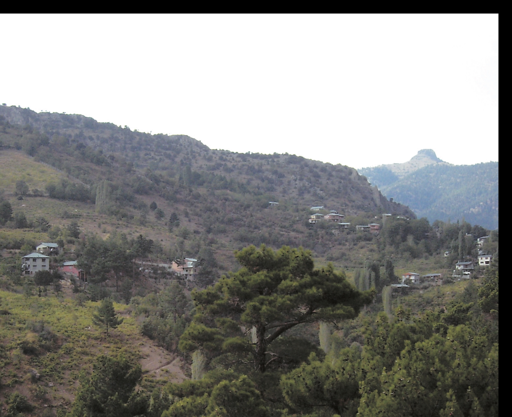 Karamürsel Bey Anit Mezari - Fotoğraf 6