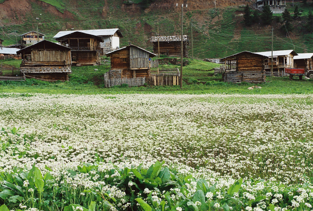 Doğa Yürüyüşü (trekki̇ng) - Yanikdere - Fotoğraf 7
