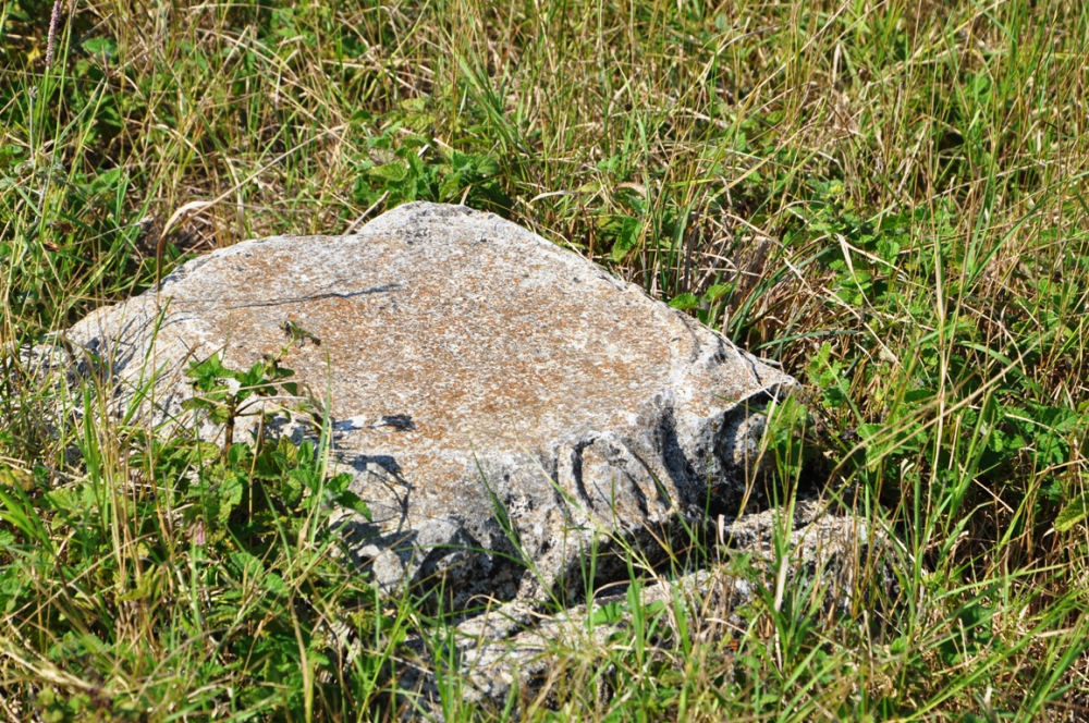 Kefken Adasi - Fotoğraf 6