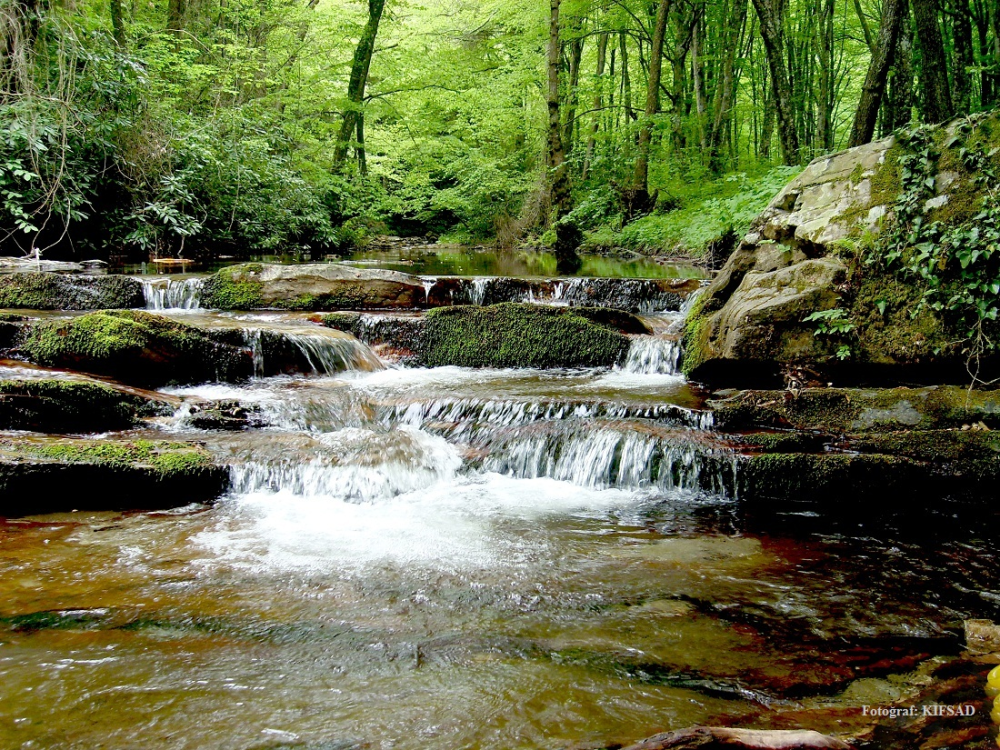 Doğa Yürüyüşü (trekki̇ng) - Mollafenari̇ - Fotoğraf 8