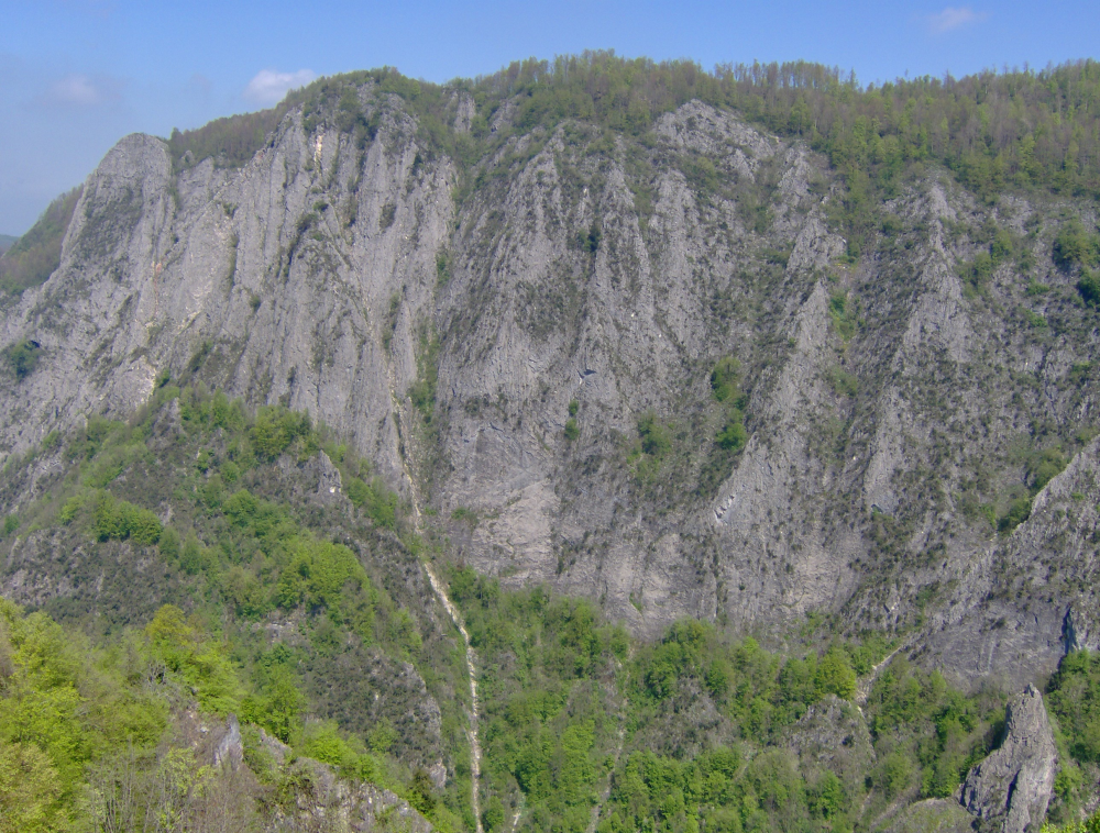 Beşkayalar Tabi̇at Parki-başi̇skele - Fotoğraf 4