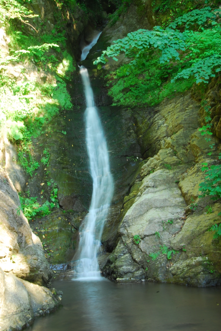 Beşkayalar Tabi̇at Parki-başi̇skele - Fotoğraf 6