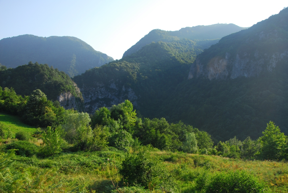 Beşkayalar Tabi̇at Parki-başi̇skele - Fotoğraf 8