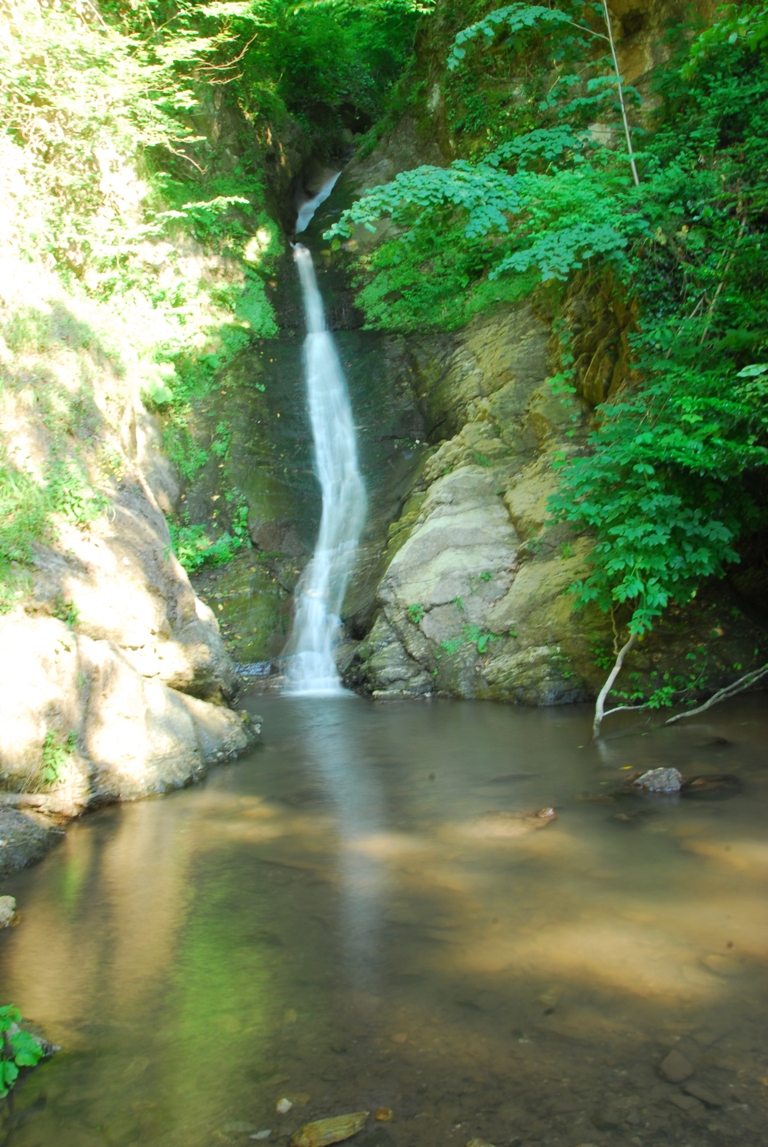 Beşkayalar Tabi̇at Parki-başi̇skele - Fotoğraf 5