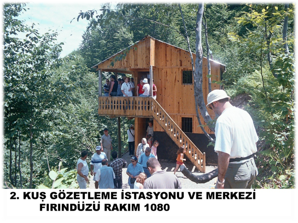 Doğa Yürüyüşü (trekki̇ng) - İnönü Yaylasi