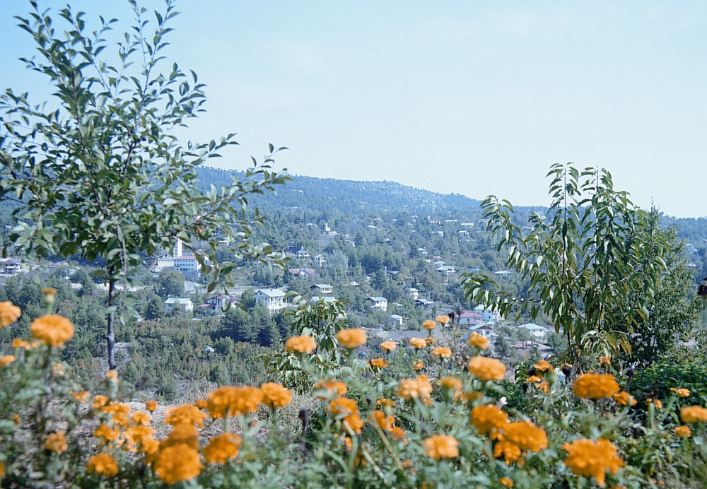 Doğa Yürüyüşü (trekki̇ng) - Mollafenari̇ - Fotoğraf 4