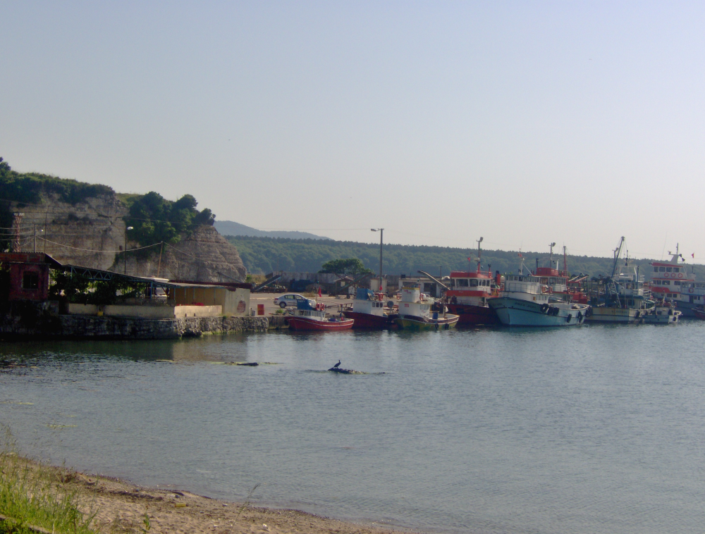 Kefken Adasi - Fotoğraf 3
