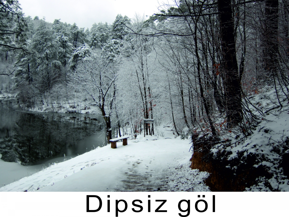 Yuvacik Baraji - Fotoğraf 8