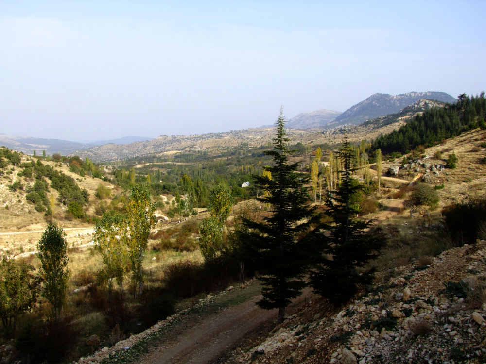 Doğa Yürüyüşü (trekki̇ng) - Taşköprü Çobangeçi̇di̇ Kanyonu - Fotoğraf 4