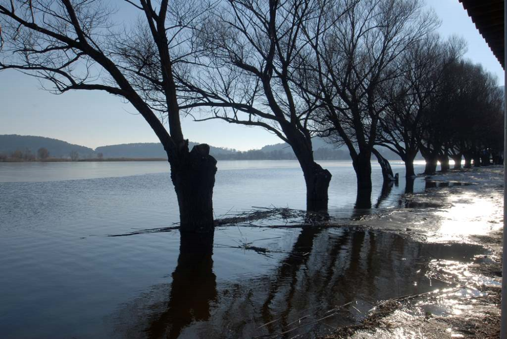 Gültepe Nekropolü - Fotoğraf 7