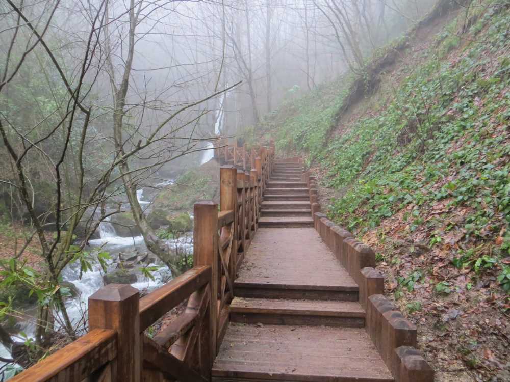 D�zce -Ayd�np�nar �elalesi Tabiat Park�