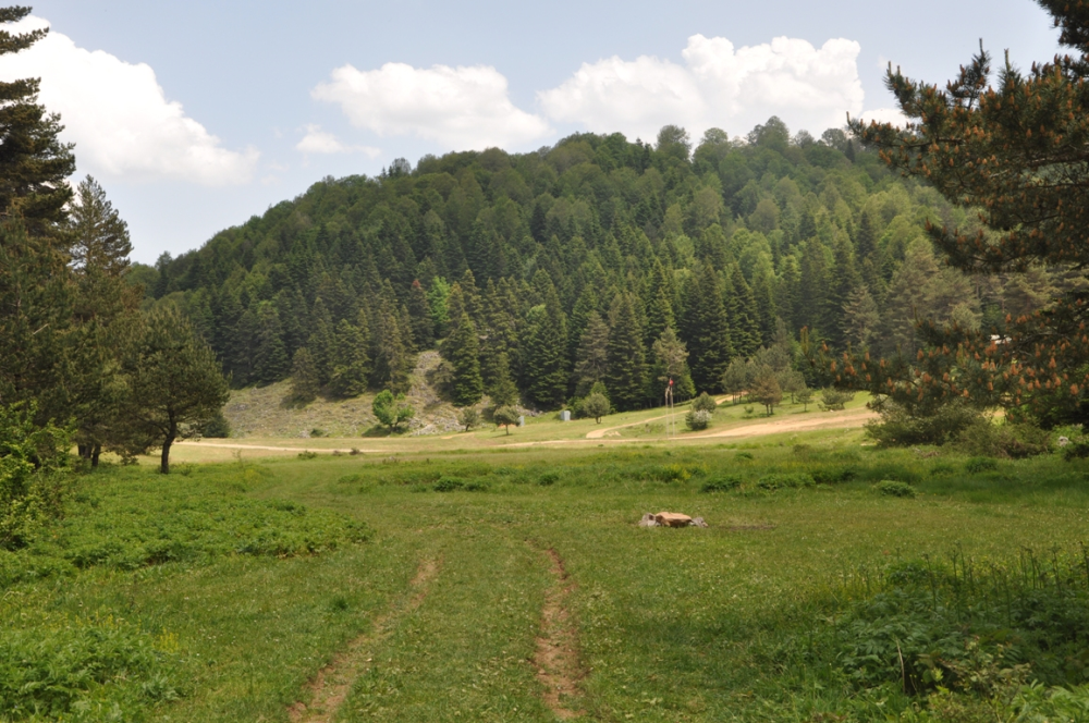 İnönü Yaylasi-kocaeli̇ - Fotoğraf 5
