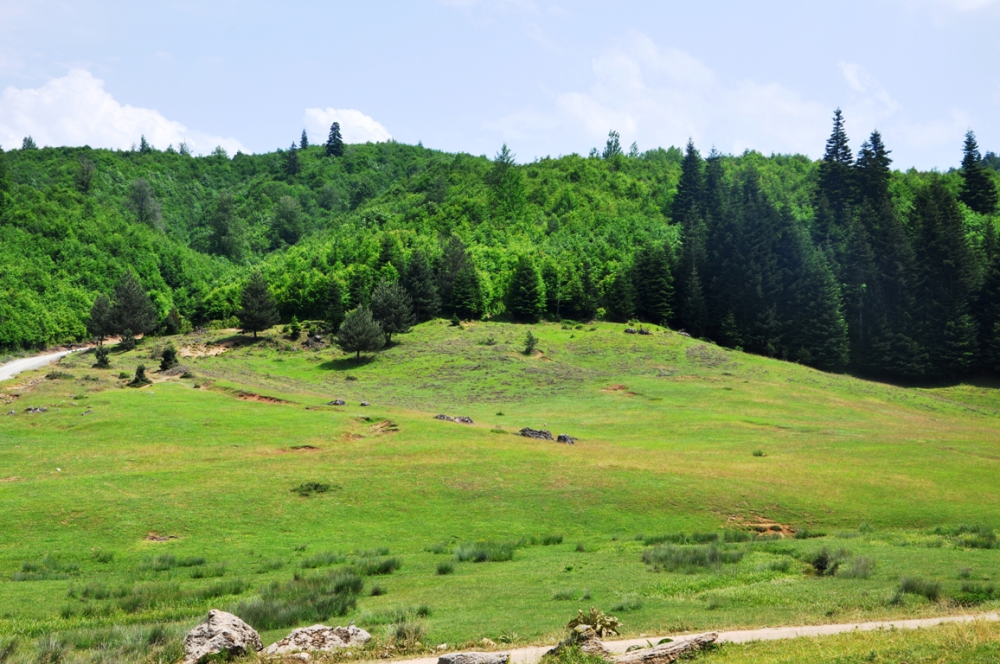İnönü Yaylasi-kocaeli̇ - Fotoğraf 6