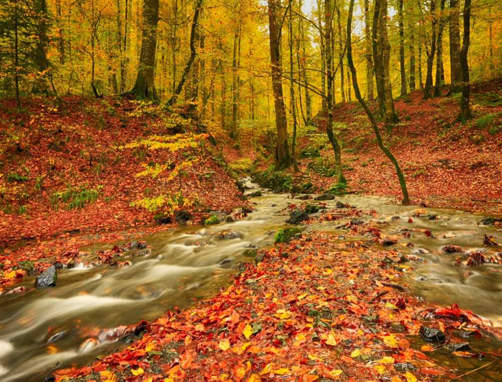 Bolu - Yedig�ller Milli Park�