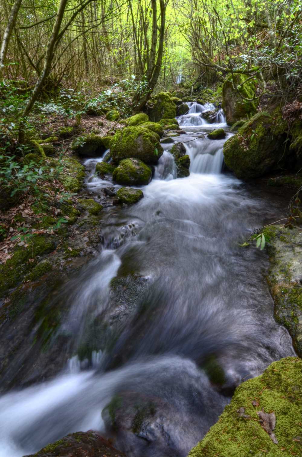 D�zce -Ayd�np�nar �elalesi Tabiat Park�