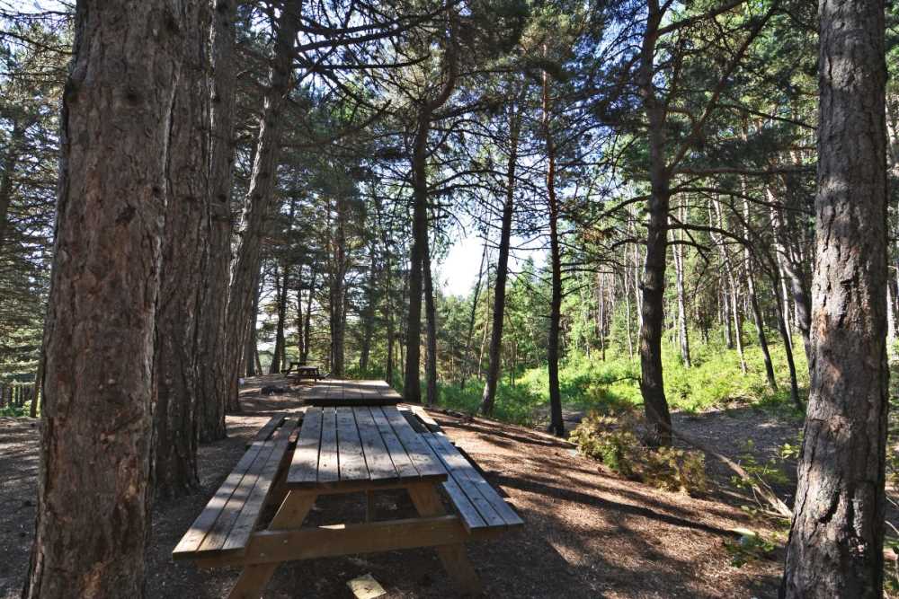 �orum Gezilecek Yerler