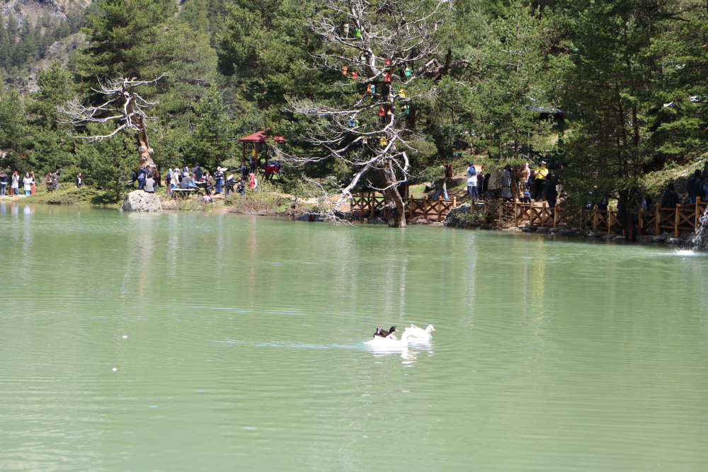 Doğa Yürüyüşü (trekki̇ng)- Dalca Sarniçlar Baraji - Fotoğraf 2