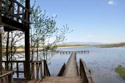 EFTENİ GÖLÜ KUŞ CENNETİ