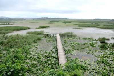 EFTENİ GÖLÜ KUŞ CENNETİ