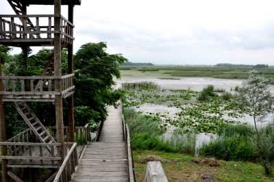 EFTENİ GÖLÜ KUŞ CENNETİ