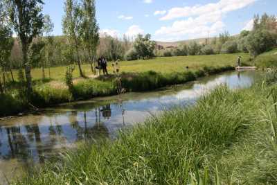 Kalkım Balıklı Termal Turizm Merkezi
(İl Kültür ve Turizm Müdürlüğü Arşivi)