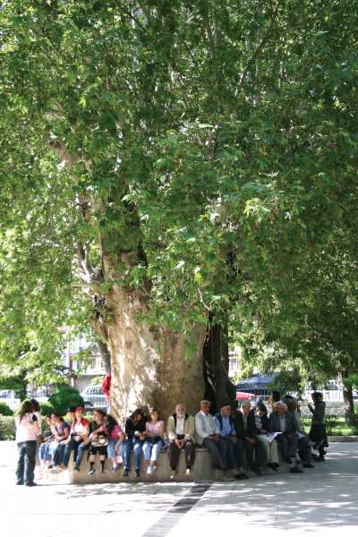 II. Bayezid Külliyesi