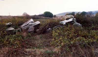 Miletepolis/Mustafakemalpaşa, Bursa Valiliği arşivinden 2012 yılında alınmıştır. 