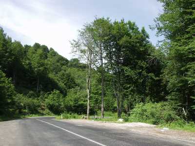 Fotoğraf;
Kırklareli İl Kültür ve Turizm Müdürlüğü Arşivi