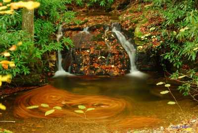 Fotoğraf; KIFSAD Arşivi