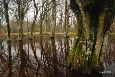 Fotoğraf;
Kırklareli İl Kültür ve Turizm Müdürlüğü Arşivi