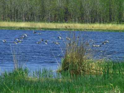 Fotoğraf;
Kırklareli İl Kültür ve Turizm Müdürlüğü Arşivi