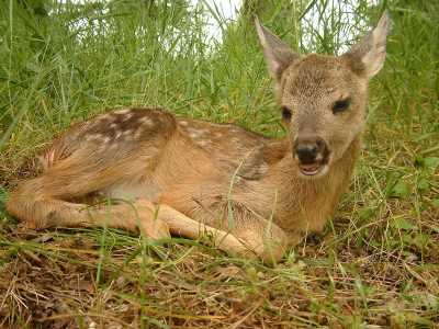 Fotoğraf; GEF II Proje Arşivi