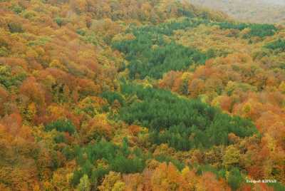 Fotoğraf;
Kırklareli İl Kültür ve Turizm Müdürlüğü Arşivi