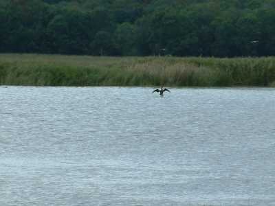 Fotoğraf;
Kırklareli İl Kültür ve Turizm Müdürlüğü Arşivi
