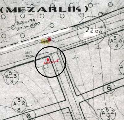 Tarihi Kestane Ağacı