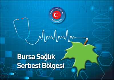 Bursa Sağlık Serbest Bölgesi, Bursa Valiliği arşivinden 2013 yılında alınmıştır.