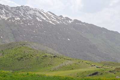 İL KÜLTÜR VE TURİZM MÜDÜRLÜĞÜ