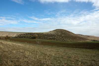 FENE (ELMACI) HÖYÜK