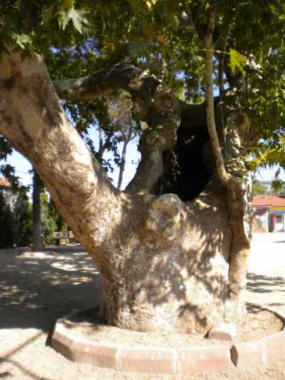 Denizli İl Kültür ve Turizm Müdürlüğü