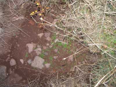 ŞIH YAHYA TÜRBESİ VE MEZARI