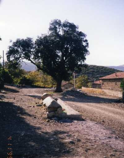 Denizli İl Kültür ve Turizm Müdürlüğü