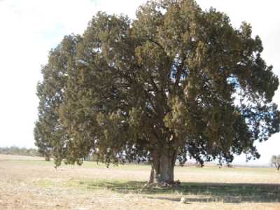 Denizli İl Kültür ve Turizm Müdürlüğü