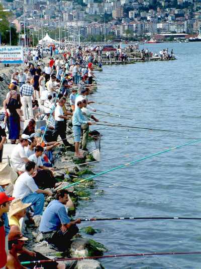 Sahil Yolunda Balık Tutanlar (Fotoğraf: Samsun İl Kültür ve Turizm Müdürlüğü Arşivi)