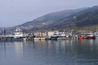 Balıkçı barınağı (Fotoğraf: Samsun İl Kültür ve Turizm Müdürlüğü arşivi)