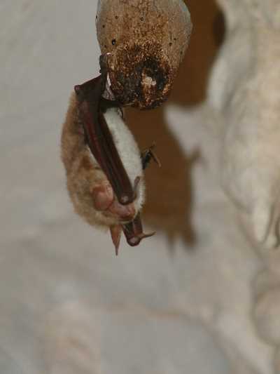 Fotoğraf; GEF II Proje Arşivi