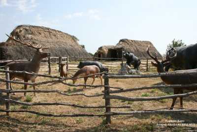 Kırklareli Merkez Aşağıpınar Arkeolojik Kazıları