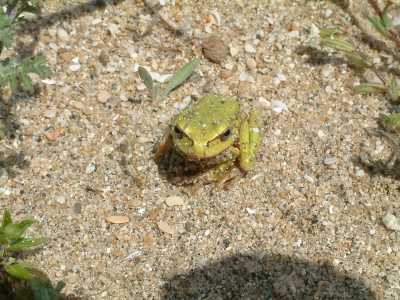 Fotoğraf; Zekeriya Kurtulmuş 
(Kırklareli İl Kültür ve Turizm Müdürlüğü Halk Kültürü Araştırmacısı)